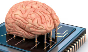 El Mito de la Multitarea: Por qué tu cerebro pierde el 40% de su capacidad