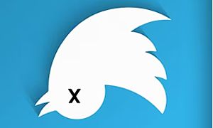 "eX" Twitter. El pajarito azul voló.